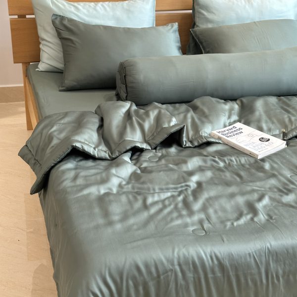 Bộ chăn ga gối 5 món Lụa Tencel
